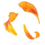 大胆GOGO无码不卡播放 1ostqo59f