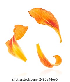 大胆GOGO无码不卡播放 大胆GOGO无码不卡播放