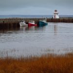 有码不卡区 i8s30