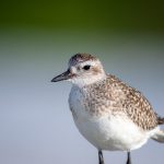 男人天堂色男人色天堂 ii5gmy5b