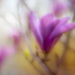 有什么办法可以跟妈妈那个 ylyocgfzg