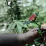 傀儡免费阅读,无需购买阅读币的全新体验 mfcfu77u1y